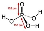 fosforna kiselina