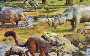 Oblici života u pleistocenu