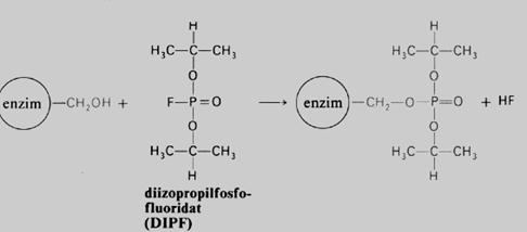Ireverzibilna nekonkurentska inhibiclja enzima