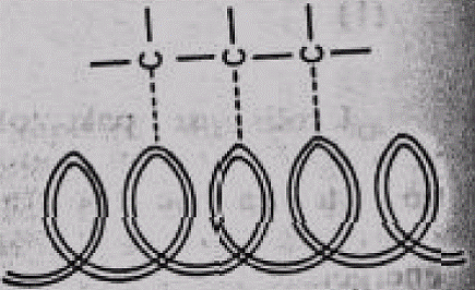Prikaz vezivanja supstrata u 3 tacke za a -heliks enzima