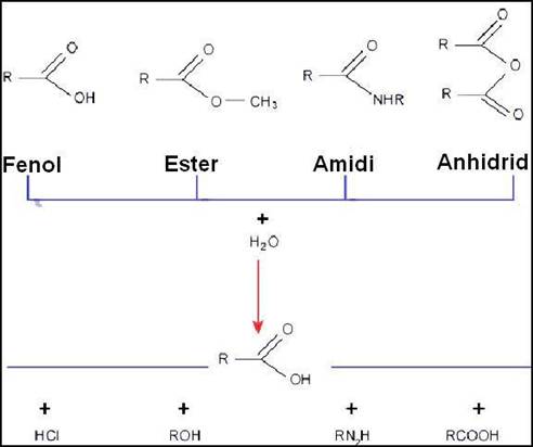 Hidroliza derivata karboksilne kiseline 