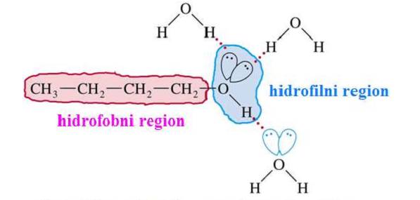 Hidrofobni i hidrofilni region