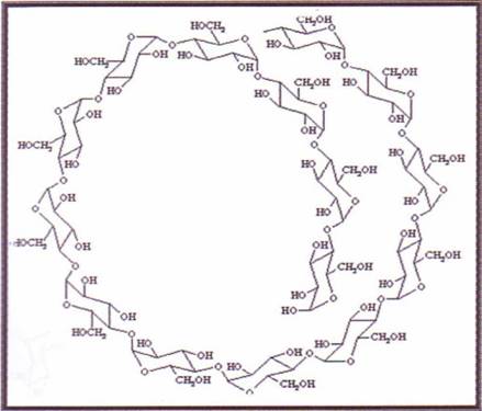 Struktura molekule amiloze