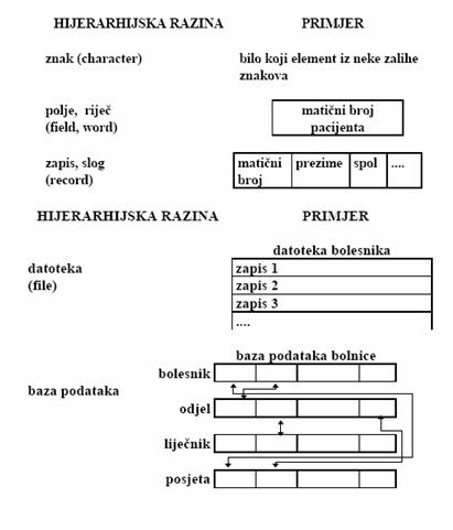 Hijerarhijska organizacija podataka