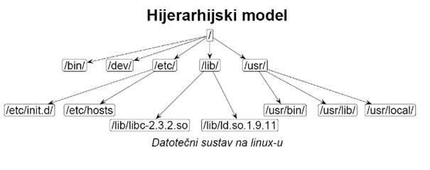Hijerarhijski model