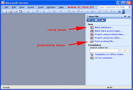 Izgled%20pocetnog%20prozora%20Ms%20Accessa.jpg