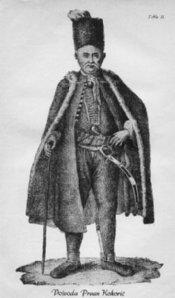 Slika vojvode Prvana Kokorica 
