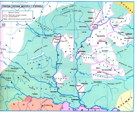 Posedi srpskih despota u Ugraskoj