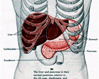 Akutni hepatitis