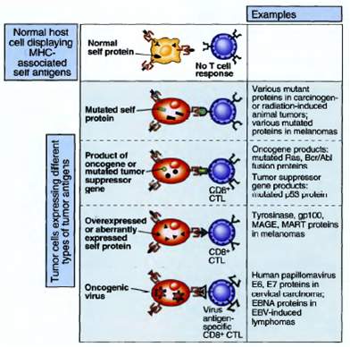 Tipovi tumorskih antigena