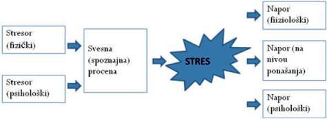 Stresori stres i napor 