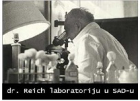 Reich u laboratoriji
