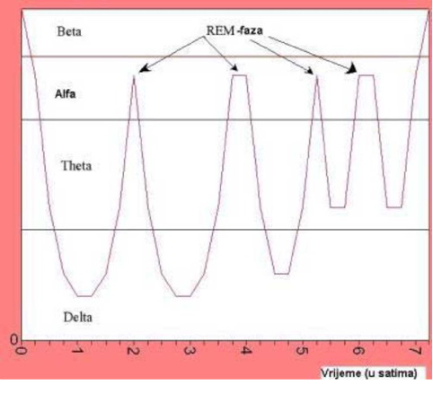 Mozdani valovi kroz vrijeme spavanja