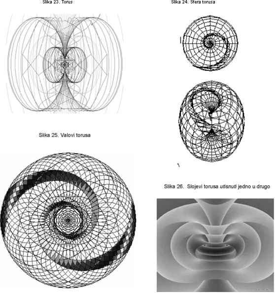 Torus