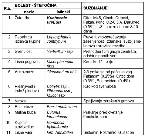 Bolesti i štetocine kupine i njihovo suzbijanje