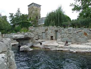 Savremeni ZOO