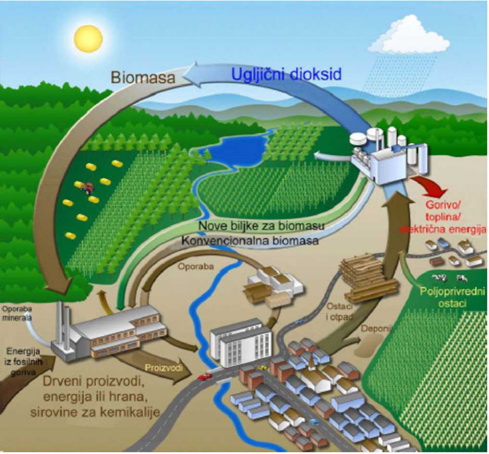 Shema kruzenja biomase
