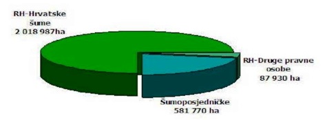 Struktura šuma u RH prema vlasništvu